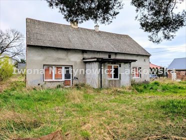 Dom z potencjałem i stawem w Niemstowie – do remontu! dom Niemstów