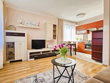 mieszkanie na wynajem 40m2 mieszkanie Katowice, Brynów, Piękna