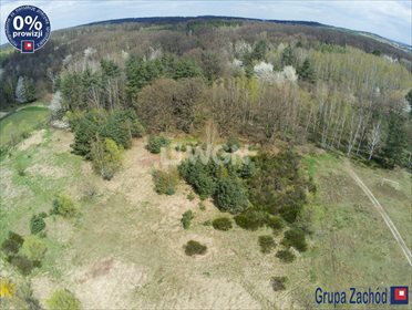 Działka budowlana na sprzedaż Proszkowa, Proszkowa 2 700m2 Foto 3