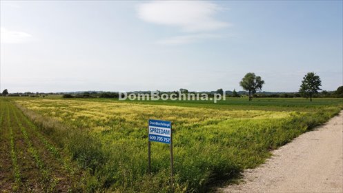 działka na sprzedaż 3188m2 działka Strzelce Wielkie