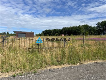 działka na sprzedaż 1078m2 działka Pępowo, Remusa