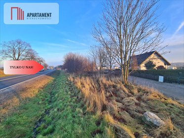 działka na sprzedaż 11900m2 działka Hopowo