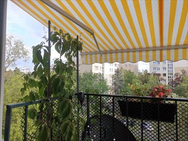 mieszkanie na sprzedaż 49m2 mieszkanie Warszawa, Ursynów, Nutki