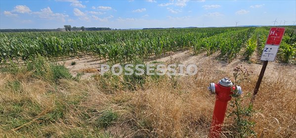 Sprzedam działkę inwestycyjną 99 arów w Udaninie działka Udanin