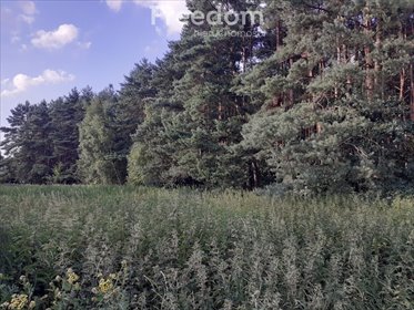 działka na sprzedaż 20573m2 działka Ciechocinek