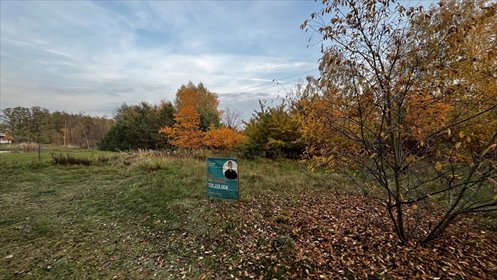 działka na sprzedaż 1012m2 działka Aleksandrów Łódzki, Łąkowa