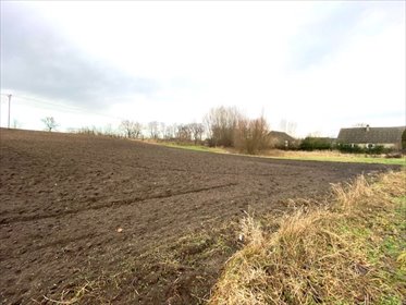 działka na sprzedaż 2999m2 działka Chociwel