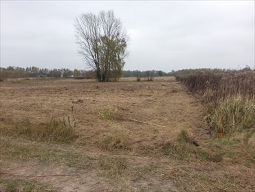 działka na sprzedaż 8700m2 działka Warszawa, Ursynów, Sporna