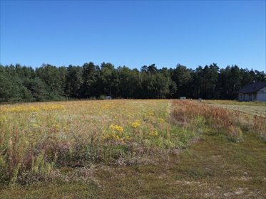 działka na sprzedaż 3035m2 działka Pietrzyki