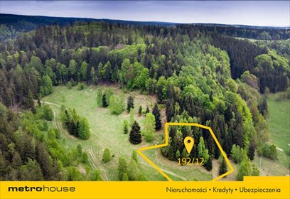 działka na sprzedaż 2000m2 działka Duszniki-Zdrój