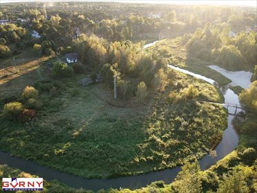 Działka inna na sprzedaż Przygłów 3 700m2 Foto 6