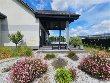 dom na sprzedaż 151m2 dom Pełczyn