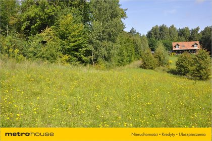 Działka budowlana na sprzedaż Kajny, Jonkowo 5 200m2 Foto 3