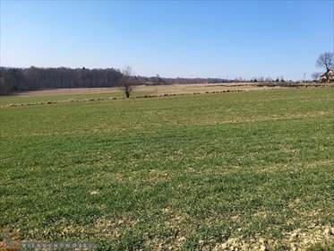 działka na sprzedaż 1579m2 działka Władysław