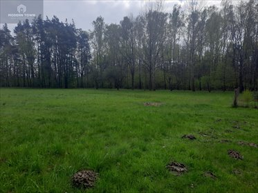 Działka budowlana na sprzedaż Nowy Prażmów, al. Główna 2 119m2 Foto 4