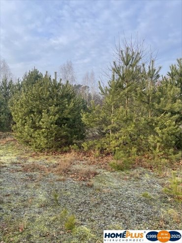 działka na sprzedaż 5300m2 działka Józefów