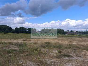 Do sprzedania działka 15 565 m² z pozwoleniem na budowę działka Nidzica