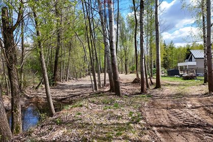 Działka 3174 m² z stawem i warunkami pod dom wśród drzew działka Budy Michałowskie, Karliczka