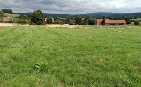 Polecam działkę 2200 m² z widokiem na Zamek Grodno działka Walim, Niedźwiedzica