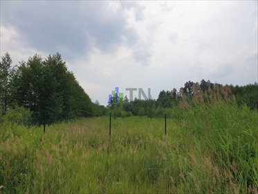 działka na sprzedaż 8900m2 działka Krzyżanowice