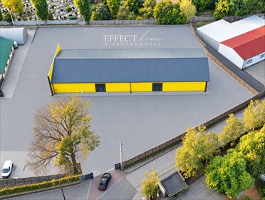 Wynajmę nowoczesną halę 730 m² w Nowej Soli lokal użytkowy Nowa Sól, Bohaterów Getta