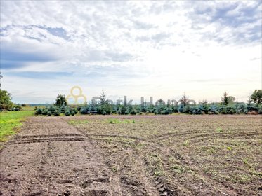 działka na sprzedaż 1269m2 działka Stara Góra