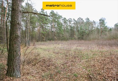 działka na sprzedaż 3780m2 działka Rokitnica