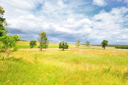 działka na sprzedaż 2566m2 działka Dobropole Gryfińskie