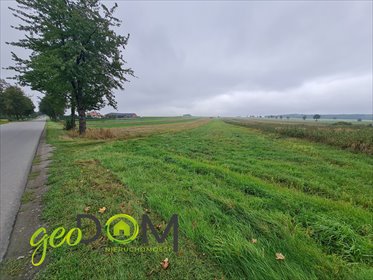 Na sprzedaż działka 2,385 ha z zabudową i rolami w Kępie Borzechowskiej działka Kępa Borzechowska