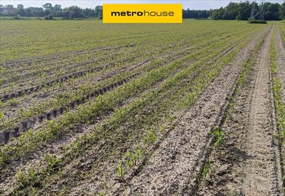 działka na sprzedaż 33000m2 działka Bronisławów