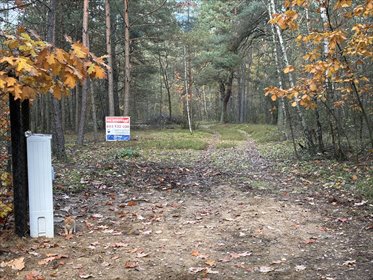 działka na sprzedaż 3287m2 działka Rynia, Czarna