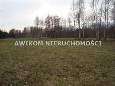 Zapraszam do zakupu działki przemysłowej 5000 m² w Hucie Żabiowolskiej działka Huta Żabiowolska