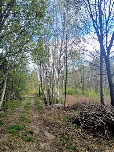 Działka 984 m² z potencjałem inwestycyjnym i funkcją mieszkaniowo-usługową działka Góra Kalwaria, Marianki, Walewicka
