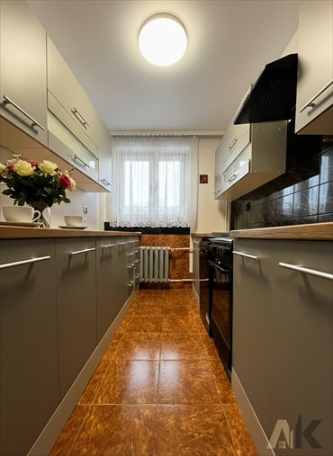 mieszkanie na wynajem 55m2 mieszkanie Nowy Sącz, Mikołaja Reja