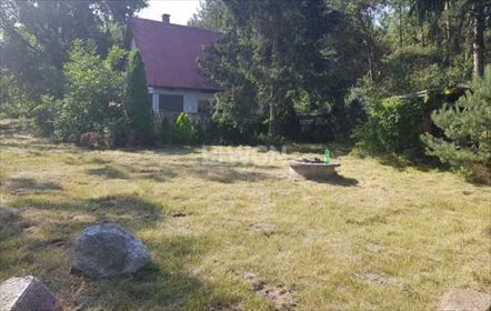 działka na sprzedaż 11600m2 działka Radomsko, Ładzice, Brodowe