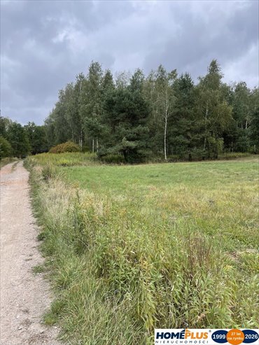 działka na sprzedaż 7000m2 działka Sieraków