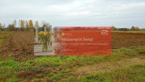 działka na sprzedaż 5500m2 działka Samoklęski