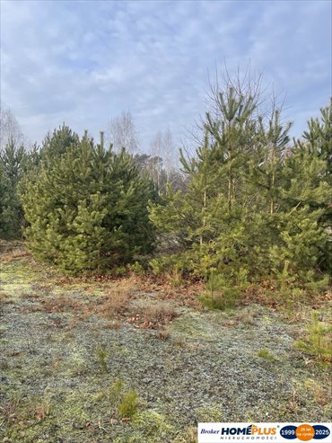 działka na sprzedaż 2050m2 działka Józefów