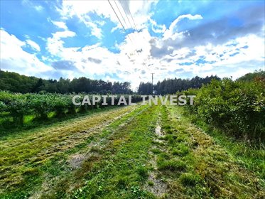 Działka inwestycyjna 70 000 m² z widokiem na góry - polecam! działka Klecza Dolna