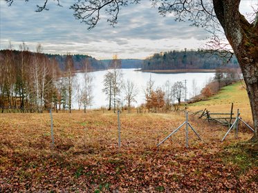 działka na sprzedaż 3000m2 działka Piaseczno