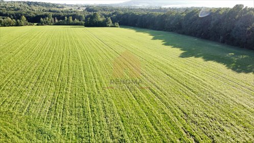 Działka inwestycyjna 9 ha w Tąpadłach polecam działka Sobótka, Tąpadła