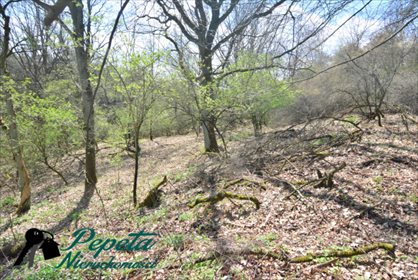 Działka rolna na sprzedaż Uzarzewo, Katarzynki 16 100m2 Foto 6