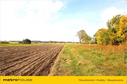 Działka siedliskowa na sprzedaż Zalesie, Zelów 34 300m2 Foto 3