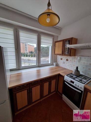 3-pokojowe mieszkanie z balkonem na Zazamczu, 48 m2 mieszkanie Włocławek, Zazamcze