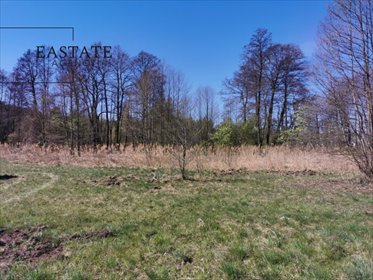 Działka 1892 m² z MPZP, szybki dojazd do Warszawy działka Wola Gołkowska