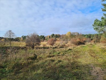 działka na sprzedaż 5000m2 działka Kamionki