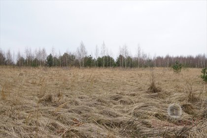 działka na sprzedaż 1000m2 działka Bledzew