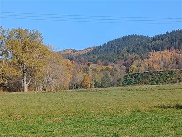 działka na sprzedaż 4732m2 działka Kowary, Tadeusza Rejtana