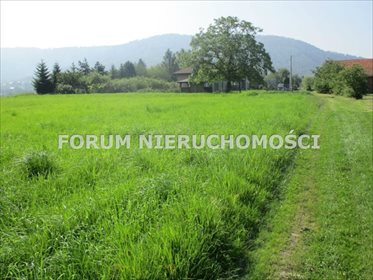 działka na sprzedaż 4005m2 działka Bielsko-Biała, Lipnik