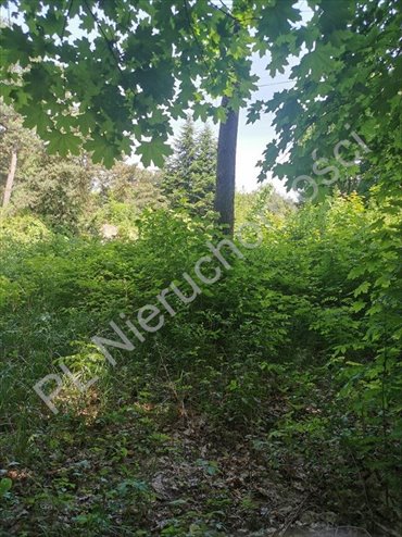 Do sprzedania zalesiona działka 2313 m² w Brwinowie działka Brwinów